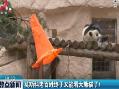 莫斯科老百姓终于又能看大熊猫了!