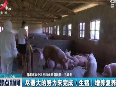 鹰潭市推行母猪商业保险补助政策