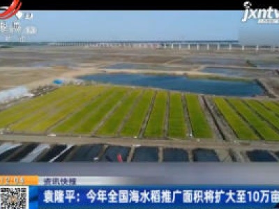 袁隆平：2020年全国海水稻推广面积将扩大至10万亩