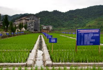 各地严格落实习近平总书记指示 科学用好土地资源 守住耕地红线 不断夯实粮食生产“根基”