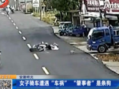 安徽明光：女子骑车遭遇“车祸” “肇事者”是条狗