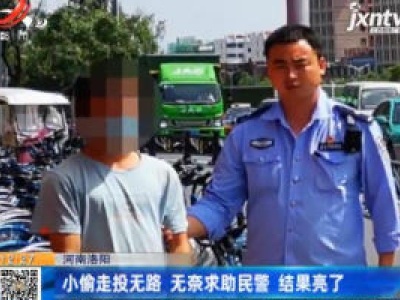 河南洛阳：小偷走投无路 无奈求助民警 结果亮了