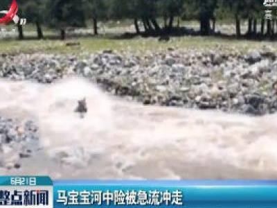 新疆：马宝宝河中险被急流冲走