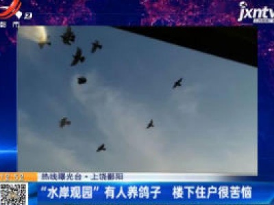 【热线曝光台】上饶鄱阳：“水岸观园”有人养鸽子  楼下住户很苦恼