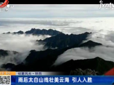 【初夏风光】陕西：雨后太白山线壮美云海 引人入胜
