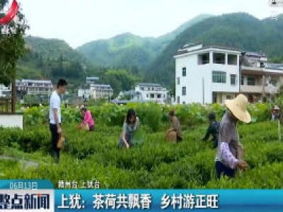 上犹：茶荷共飘香 乡村游正旺