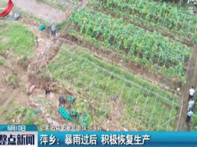 萍乡：暴雨过后 积极恢复生产