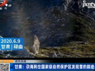 甘肃：尕海则岔国家级自然保护区发现雪豹踪迹
