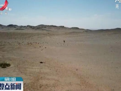 新疆卡拉麦里：向水源地补水 为野生动物“解渴