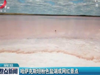 哈萨克斯坦粉色盐湖成网红景点
