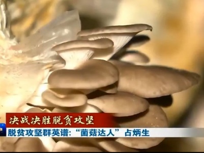 【决战决胜脱贫攻坚】脱贫攻坚群英谱：“菌菇达人”占炳生