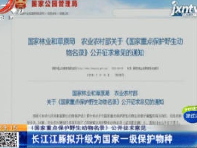 【《国家重点保护野生动物名录》公开征求意见】长江江豚拟升级为国家一级保护物种