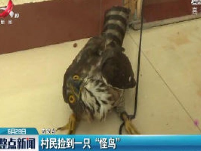吉安：村民捡到一只“怪鸟”