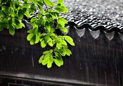 江西预计今起进入梅雨期 本周仍是雨、雨、雨