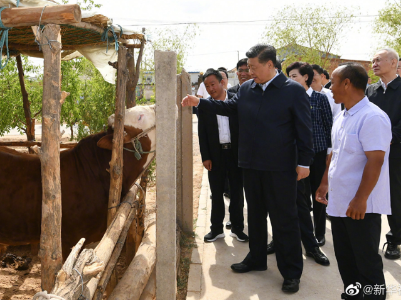 习近平宁夏考察，这张照片刷屏了