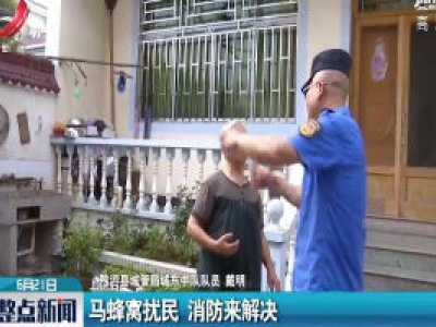 上饶：马蜂窝扰民 消防来解决
