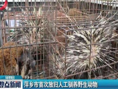 萍乡市首次放归人工驯养野生动物