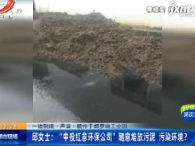 【一追到底·声音】赣州于都罗坳工业园·邱女士：“中投红意环保公司”随意堆放污泥 污染环境？