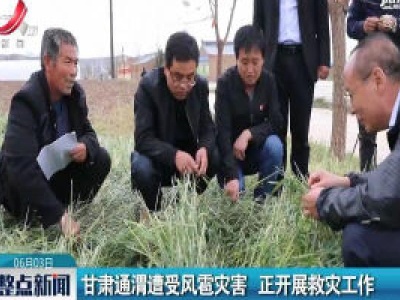 甘肃通渭遭受风雹灾害 正开展救灾工作