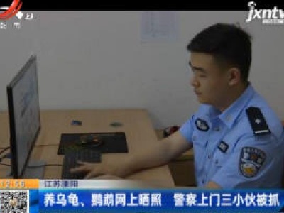 江苏溧阳：养乌龟鹦鹉网上晒照 警察上门三小伙被抓