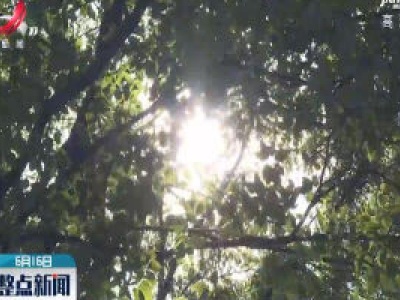 宜春：持续晴热高温 户外作业采取措施防暑降温
