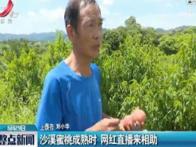 沙溪蜜桃成熟时 网红直播来相助