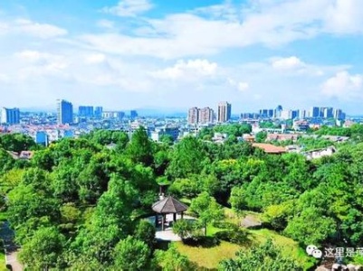 湘东区麻山镇：抓党建引领 兴产业促发展