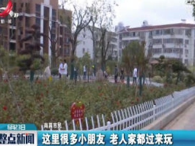 南昌西湖区：13处“邮票绿地”扮美城市
