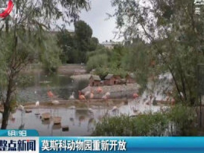 莫斯科动物园重新开放