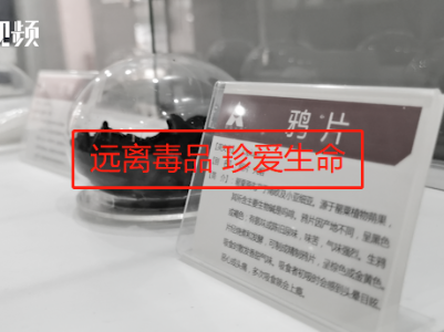 南昌东湖区禁毒志愿者协会成立