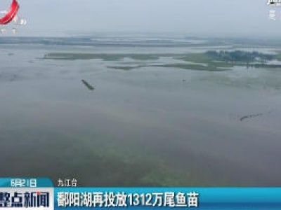 九江：鄱阳湖再投放1312万尾鱼苗