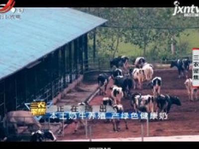 三农聚焦20200622 本土奶牛养殖 产绿色健康奶