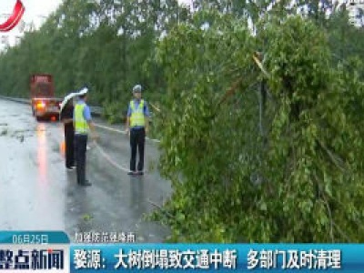 【加强防范强降雨】婺源：大树倒塌致交通中断 多部门及时清理