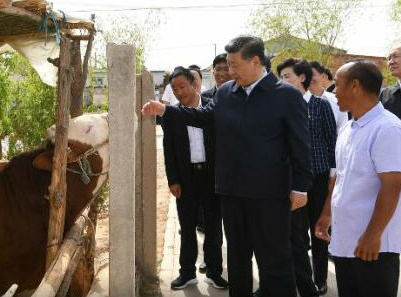 脱贫攻坚倒计时200天：习近平强调“一个少数民族也不能少”