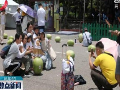 【又是一年端午时】赛龙舟、立西瓜、吃粽子——台湾民众过端午