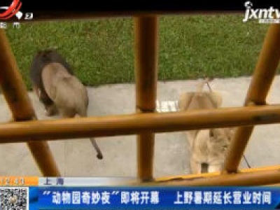上海：“动物园奇妙夜”即将开幕 上野暑期延长营业时间
