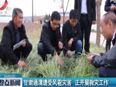 甘肃通渭遭受风雹灾害 正开展救灾工作