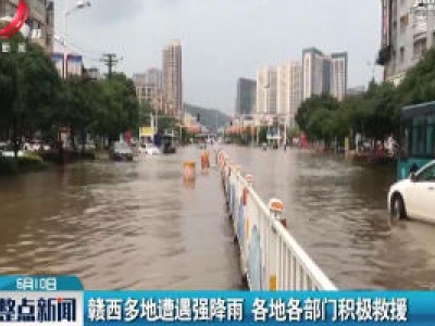 赣西多地遭遇强降雨 各地各部门积极救援