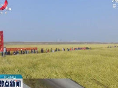 江西两个水稻品种被确认为超级稻