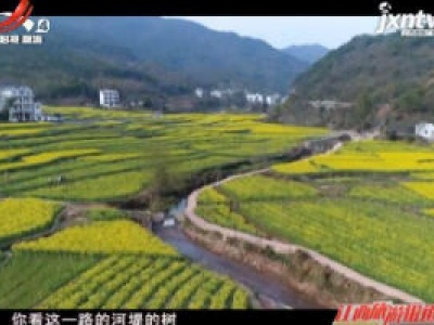 【爱江西 健康游】上饶玉山山塘村：从普通山村到4A级乡村旅游点的蜕变
