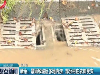 新余：暴雨致城区多地内涝 部分村庄农田受灾