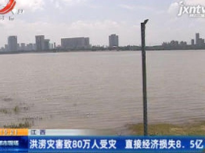 江西：洪涝灾害致80万人受灾 直接经济损失8.5亿