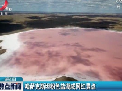 哈萨克斯坦粉色盐湖成网红景点