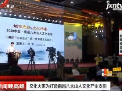 文化大家为打造南昌八大山人文化产业支招