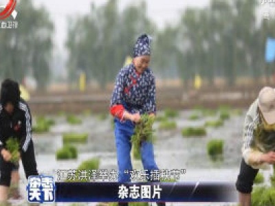 江苏：欢乐插秧节