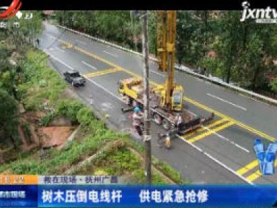 【救在现场】抚州广昌：树木压倒电线杆 供电紧急抢修