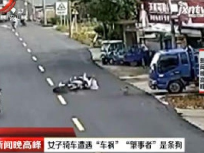 安徽：女子骑车遭遇“车祸” “肇事者”是条狗