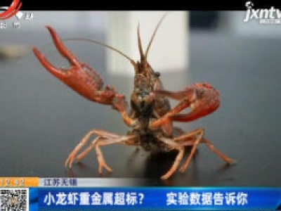 江苏无锡：小龙虾重金属超标？ 实验数据告诉你