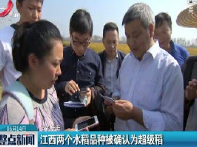 江西两个水稻品种被确认为超级稻