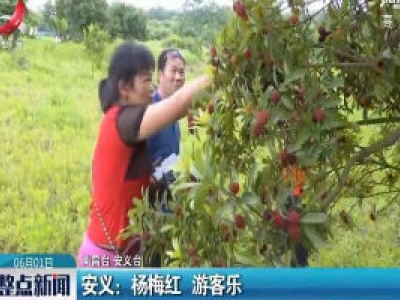 安义：杨梅红 游客乐